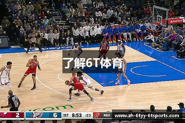 了解6T体育